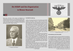Die NSDAP und ihre Organisation in WN