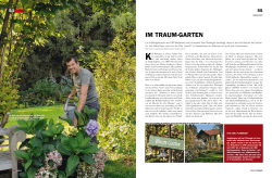 Im Traum-GarTen