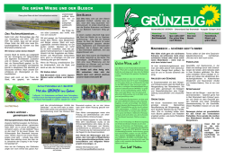 GR&Uuml;NZEUG 35 April 2015 - B&uuml;ndnis90/DIE GR&Uuml;NEN Bad Bramstedt