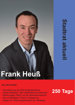 Infos zu den ersten 250 Tagen im Amt, von Frank Heuß, Stadtrat
