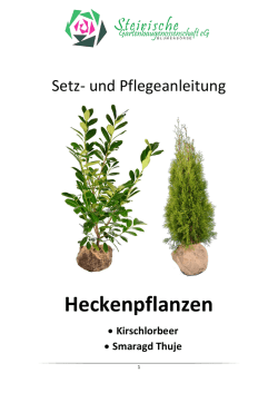 Heckenpflanzen - HAUSZUSTELLUNG