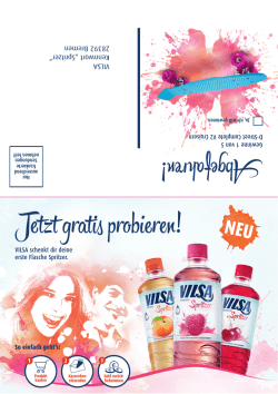 Eine Flasche VILSA Spritzer