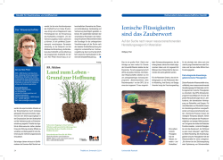 Ionische Fl&uuml;ssigkeiten sind das Zauberwort - Low