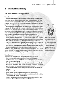 2 Die Wahrnehmung - visuelle