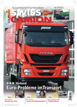 Euro-Probleme imTransport
