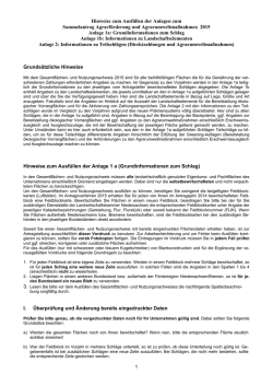 Hinweise zum Ausf&uuml;llen der Anlagen zum