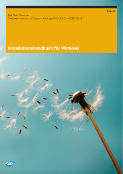 Installationshandbuch für Windows