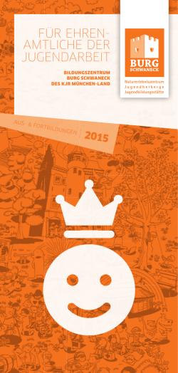 Ehrenamtflyer der Burg Schwaneck 2015