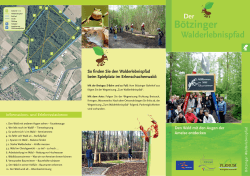 Infos zum Walderlebnispfad erhalten Sie hier