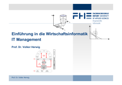 Einf&uuml;hrung in die Wirtschaftsinformatik IT Management