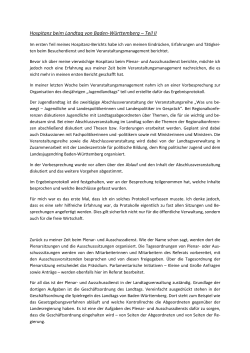 Hospitanz-Bericht Philipp Gottstein, Teil 2