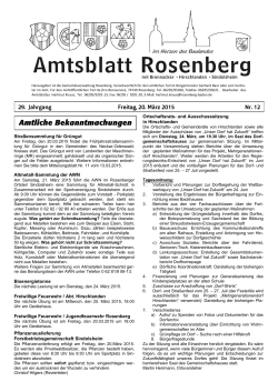 Amtsblatt KW12
