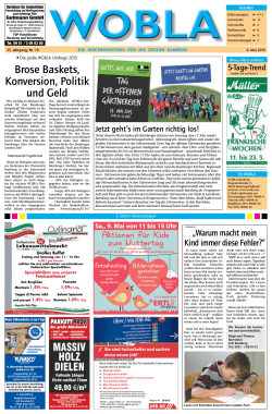 brose baskets, Konversion, Politik und Geld