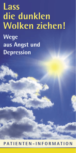 rz ZNS Broschüre depression.indd