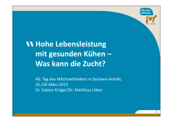 Hohe Lebensleistung mit gesunden K&uuml;hen &ndash; Was kann die Zucht?