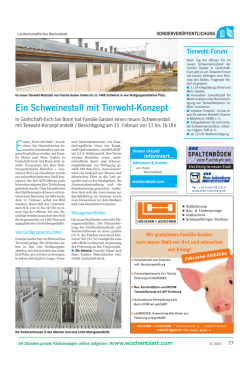 Ein Schweinestall mit Tierwohl
