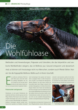 Die Wohlf&uuml;hloase - Suna Fellpflege