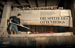 Die Spitze des Ottenbergs
