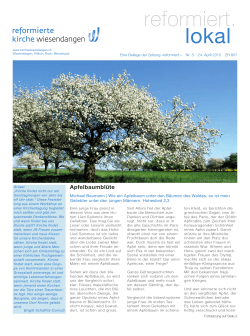 Reformiert Lokal Nr. 5, 2015 als PDF