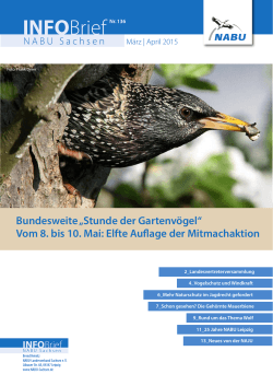 NABU-Infobrief 136_web - Kirchberger Natur