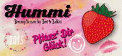 Hummi Prospekt 2015  - Reinhold Hummel GmbH + Co. KG