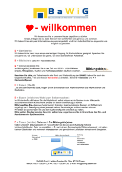 BaWiG ABC als PDF