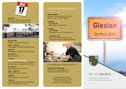 Festflyer Glesien