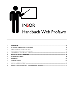 INSOR Handbuch Web Profawo