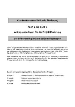 Antrag auf krankenkassenindividuelle Projektförderung