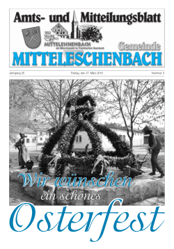 Amtsblatt Nr. 3 / Ausgabe 27.03.2015