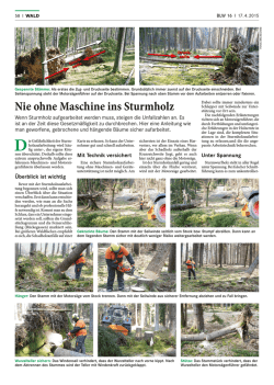 Nie ohne Maschine ins Sturmholz - Die Bayerische Waldbauernschule