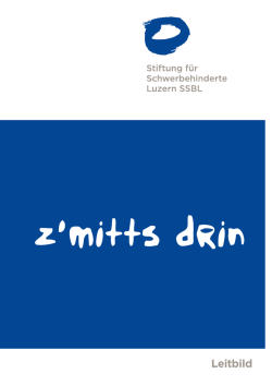 Leitbild SSBL 2015.indd