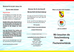 Infofaltblatt zur Verschmelzung
