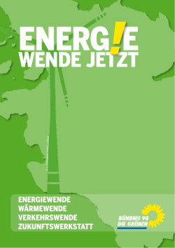 Gr&uuml;ne auf der New Energy! - GR&Uuml;NE Fraktion Schleswig