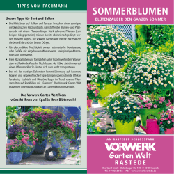 SOMMERBLUMEN - Vorwerk Pflanzenhandel GmbH