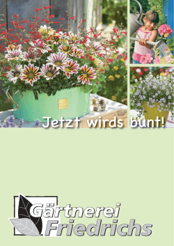 Jetzt wirds bunt! - Gaertnerei