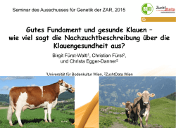 Gutes Fundament und gesunde Klauen &ndash; wie viel sagt die