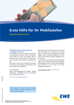 Infos und Reparaturschein