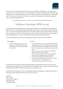 Software Developer BPM (m/w)
