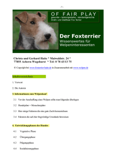 E-Book gratis herunterladen
