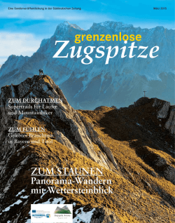 grenzenlose
