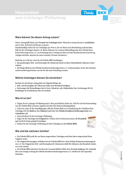 Hinweisblatt zum Leistungs-/Pr&uuml;fantrag