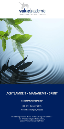 ACHTSAMKEIT MANAGEMT SPIRIT