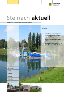 Steinach Aktuell Nr. 06 vom 20.03.2015