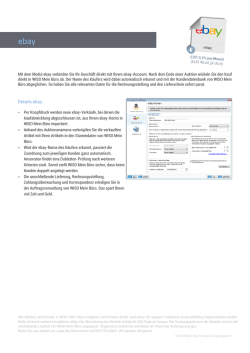 Modul eBay PDF