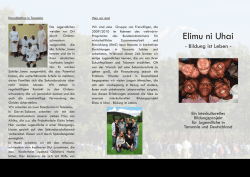 Flyer BILENU - Bildung ist Leben – Elimu ni Uhai