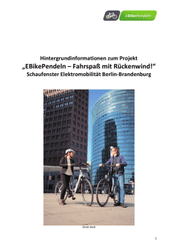 Hintergrundinformationen zum Projekt