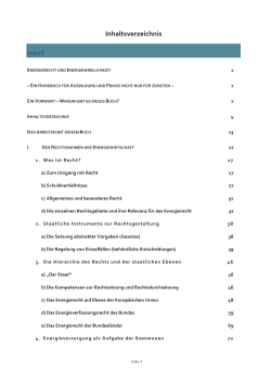 Handbuch Energierecht und Energiewirklichkeit PDF