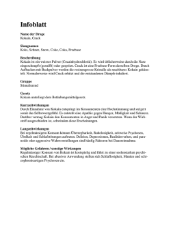 Infoblatt Kokain