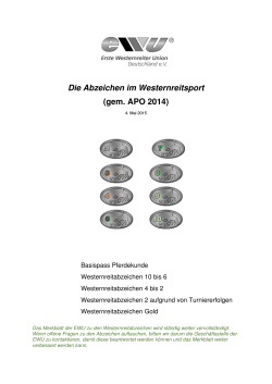 Merkblatt zu den Abzeichen im Westernreitsport